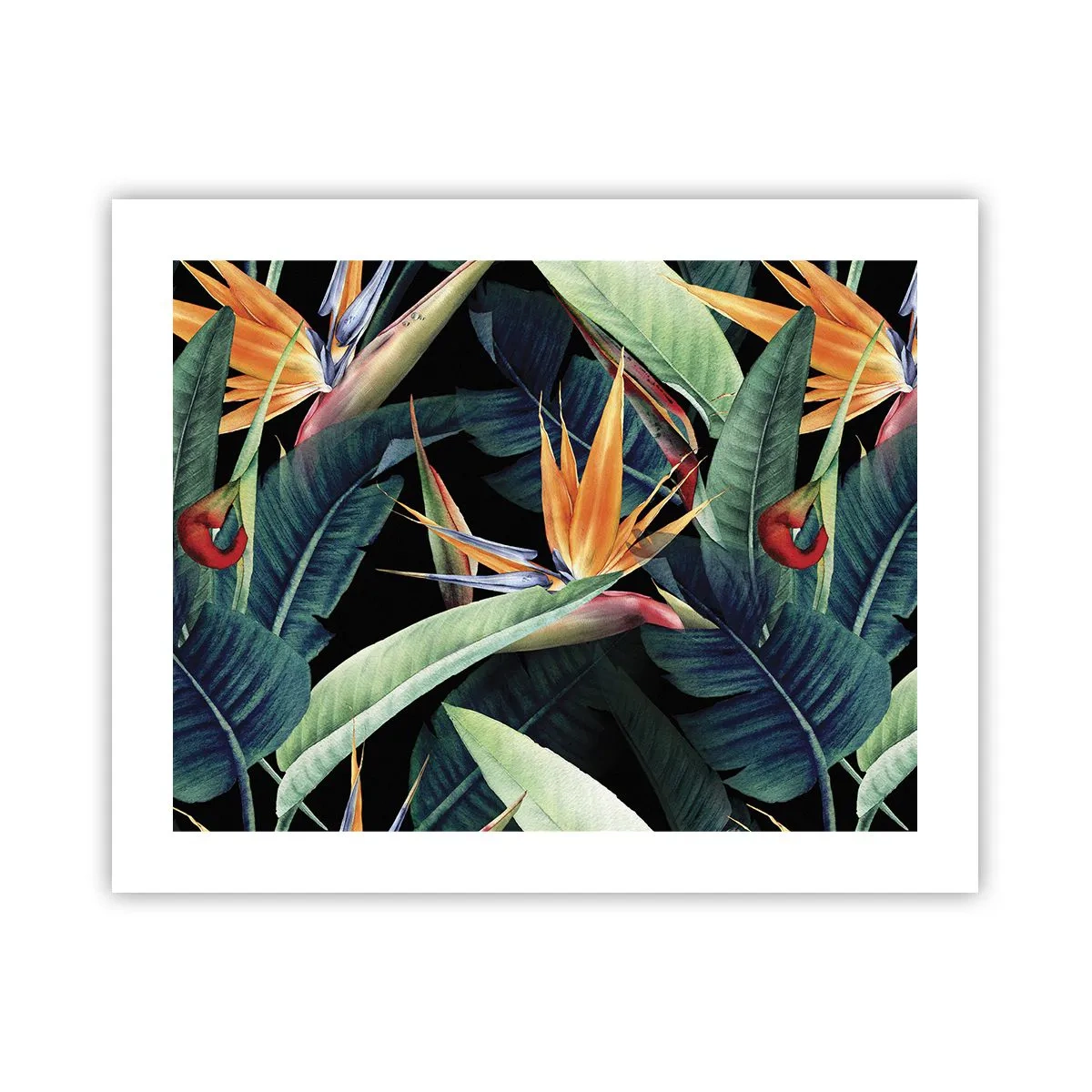 Affisch - Tropikens brinnande blommor - 50x40 cm