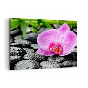 Canvastavla - Bild på duk - Som öppet hjärta - 100x70 cm