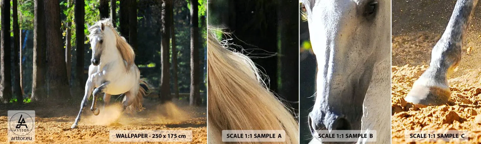 Fototapet Prov Standard Eco - Som från en fantasybok - Djur, Häst, Landskap - 100x30 cm