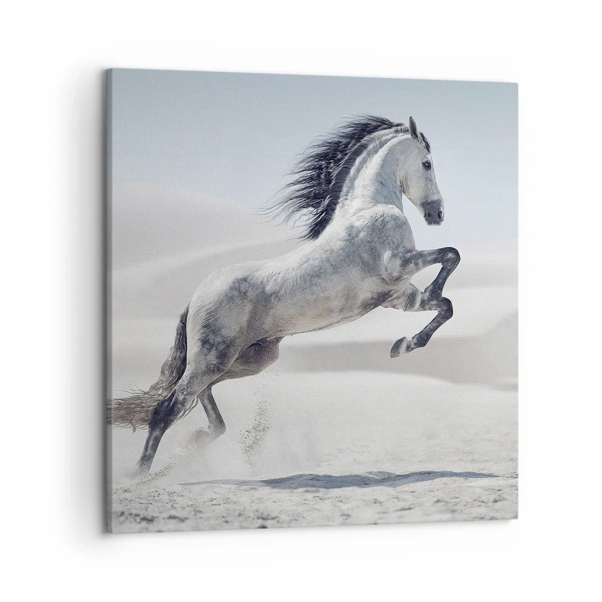 Canvastavla - Bild på duk - Arabisk prins - 50x50 cm