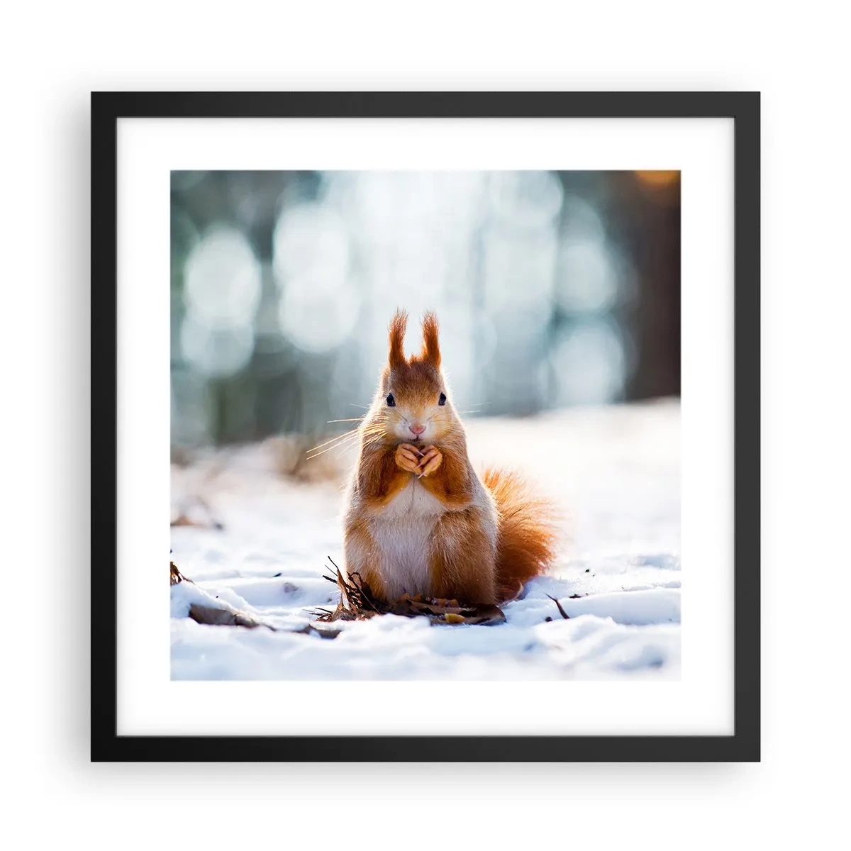 Affisch i svart ram - Vad glor du på? - 40x40 cm