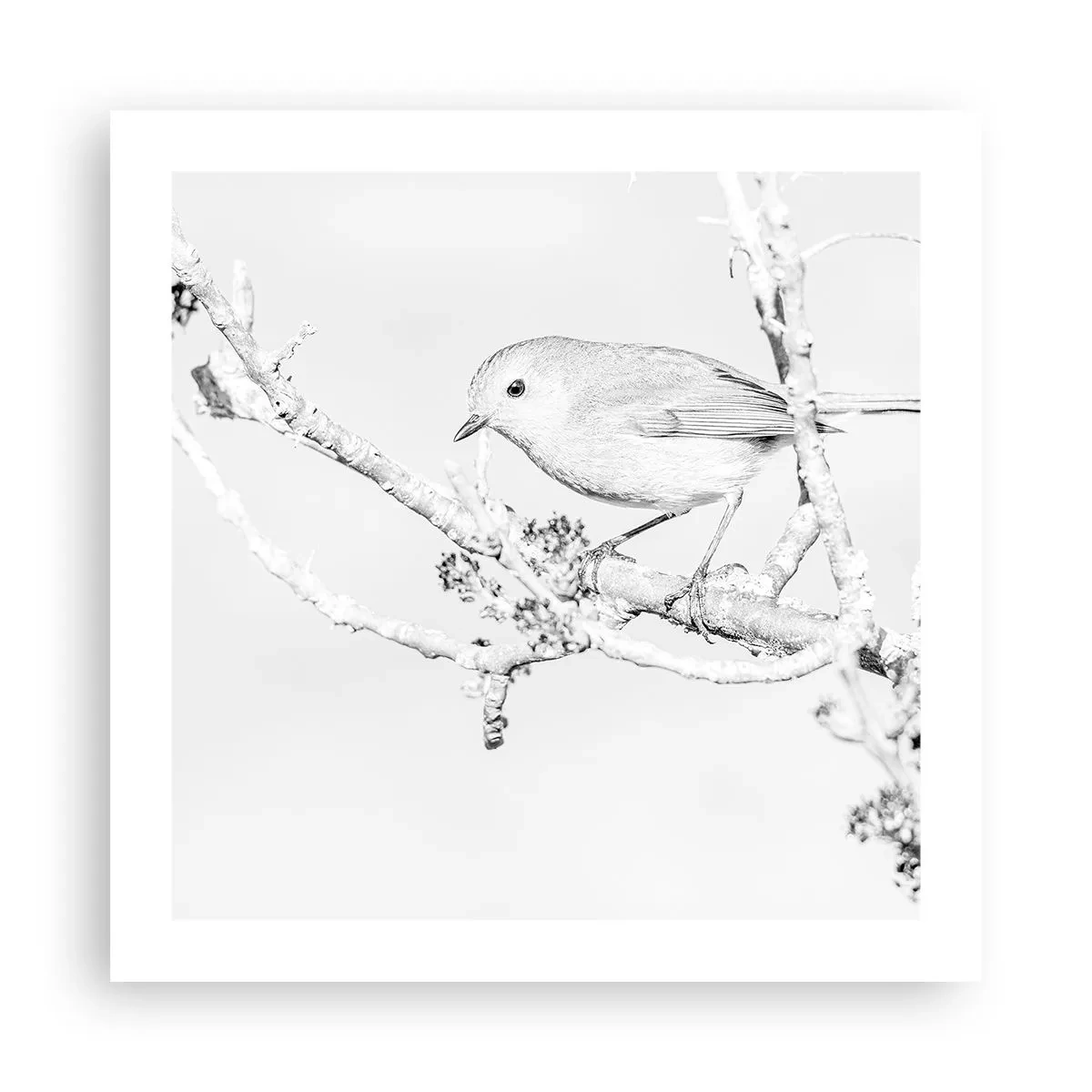 Affisch - Vintermorgon - 50x50 cm