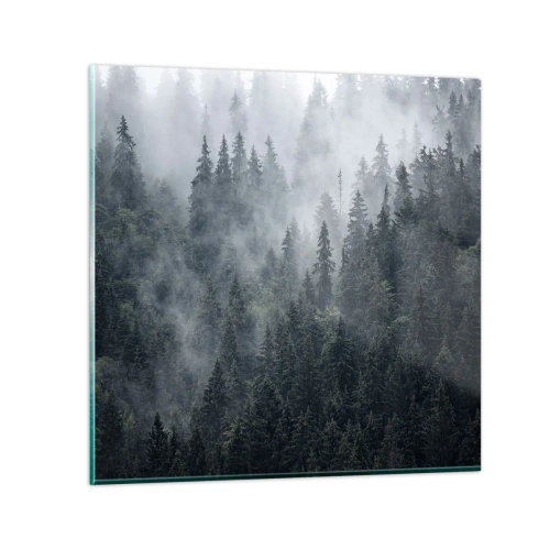 Glastavla - Bild på glas - Gryning i skogen - 70x70 cm