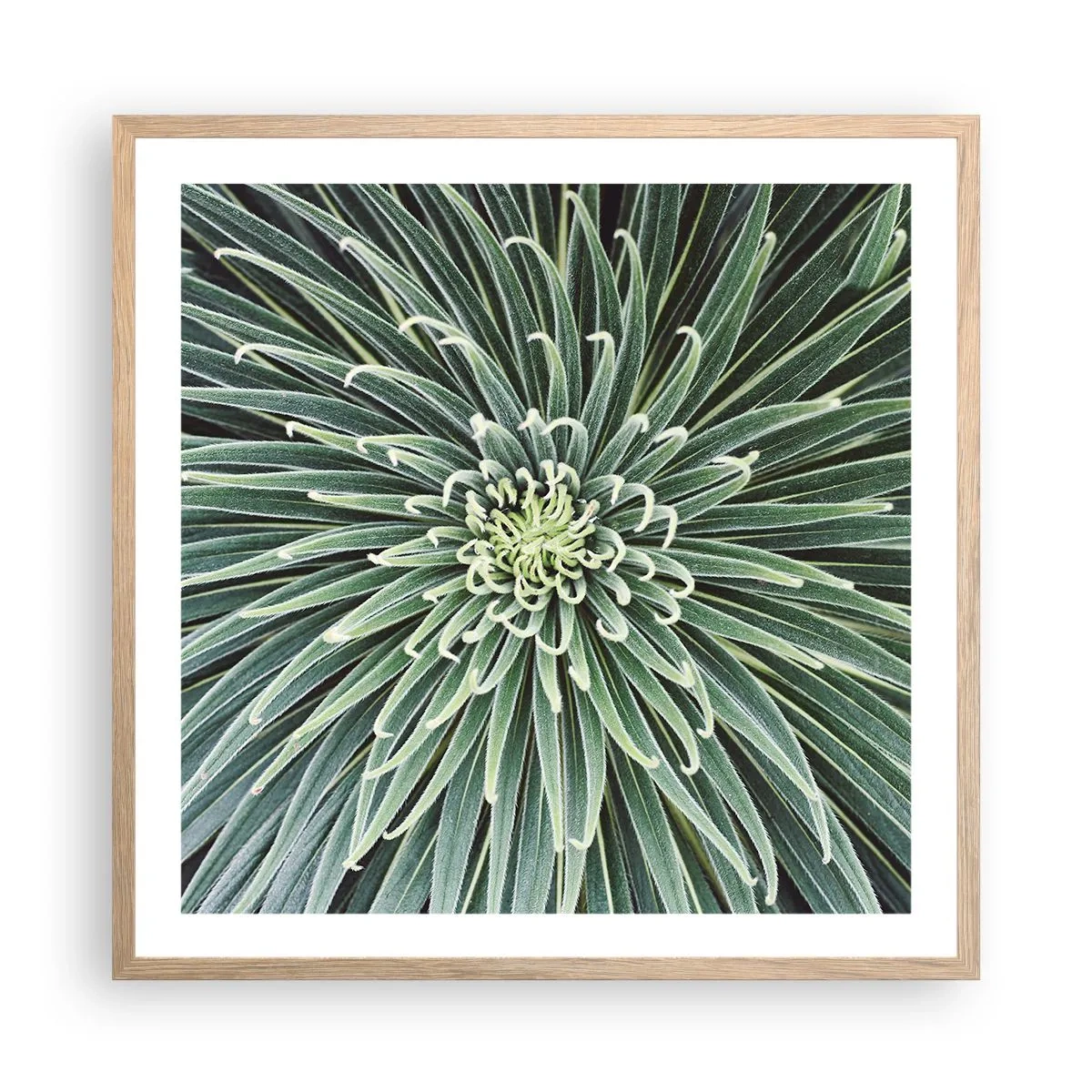 Affisch i ram av ljusek - Stjärna föds - 60x60 cm