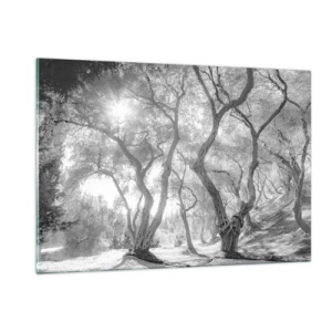 Glastavla - Bild på glas - I en olivlund - 120x80 cm