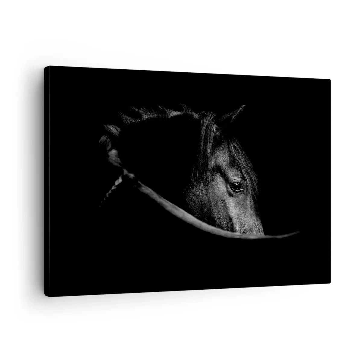 Canvastavla - Bild på duk - Ett svartvitt porträtt av en häst med ett subtilt spel av ljus och skugga mot en mörk bakgrund. - 70x50cm - Svart prins - Modern väggdekoration för vardagsrum och sovrum ARTTOR