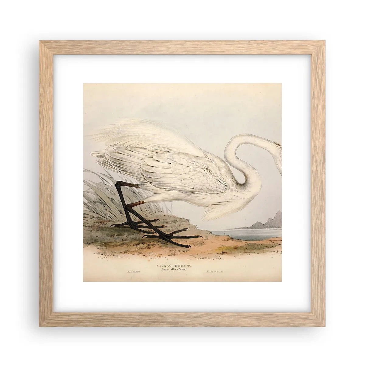 Affisch i ram av ljusek - En dam i vassen - 30x30 cm