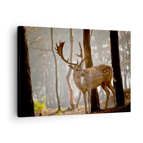 Canvastavla - Bild på duk - Hjortar i skogen i morgondimman - 70x50cm - Ungdomens ljus - Modern väggdekoration för vardagsrum och sovrum ARTTOR