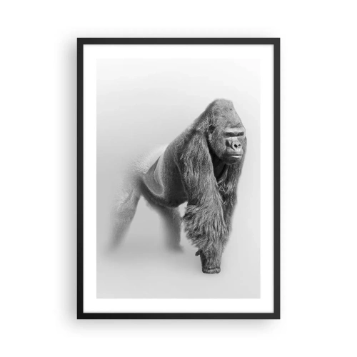 Affisch i svart ram - Porträtt av en gorilla mot en minimalistisk bakgrund - 50x70cm - Övertygad om sin styrka - Modern väggdekoration för vardagsrum och sovrum ARTTOR