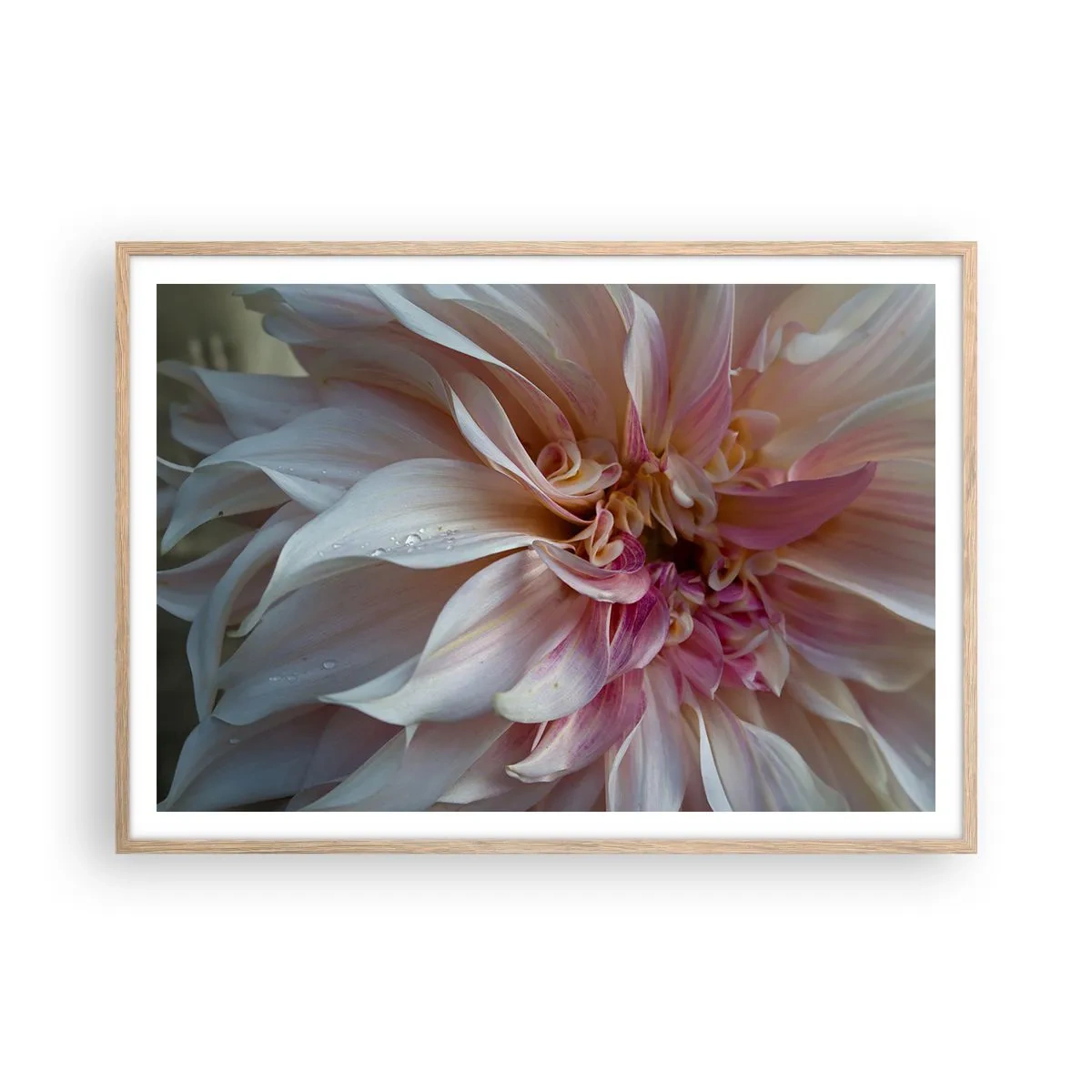 Affisch i ram av ljusek - Blommande friskhet - 100x70 cm