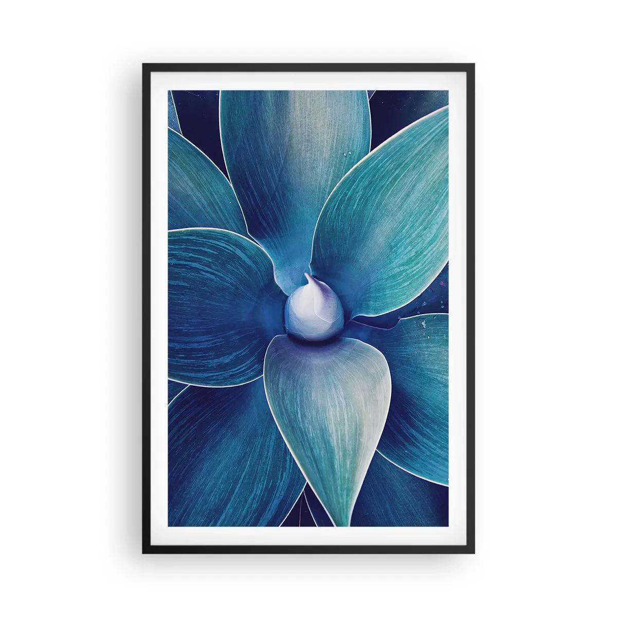 Affisch i svart ram - Blått från himlen - 61x91 cm