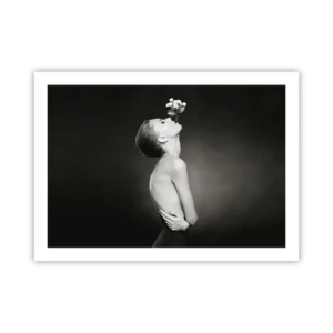 Affisch - Excentrisk elegans - 70x50 cm