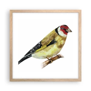 Affisch i ram av ljusek - Fågelporträtt - 40x40 cm