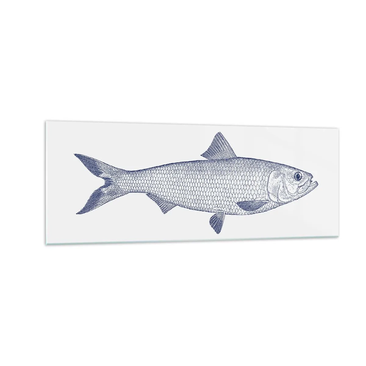 Glastavla - Bild på glas - Hälsningar från de nordliga haven - 140x50 cm