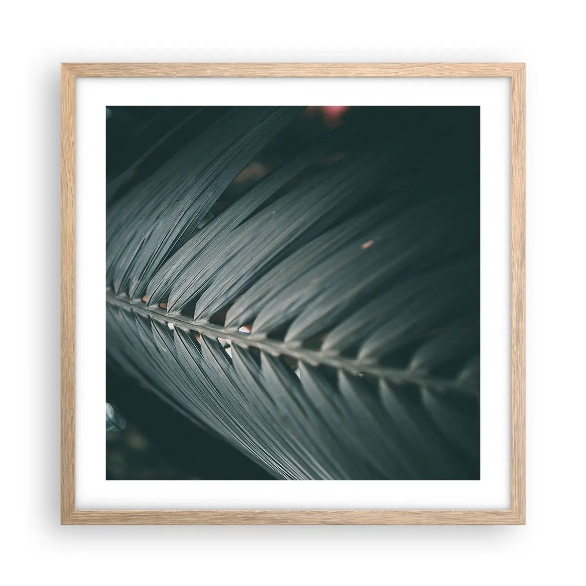 Affisch i ram av ljusek - Naturens precision - 50x50 cm