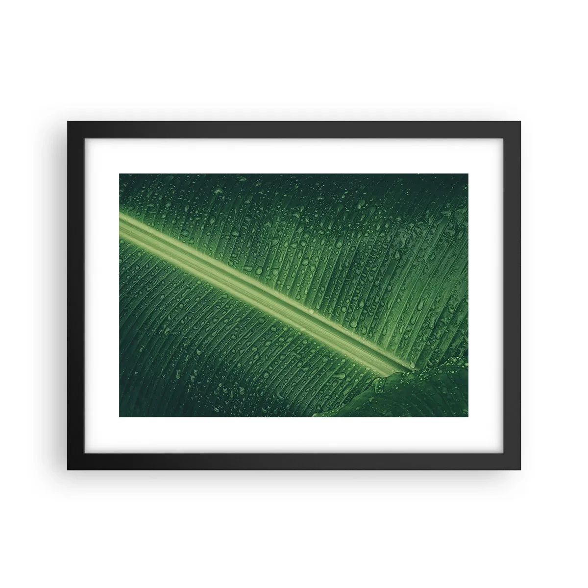 Affisch i svart ram - Grönskans struktur - 40x30 cm