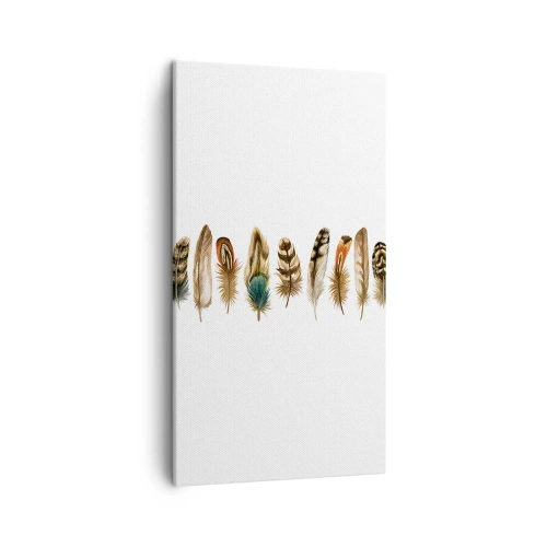 Canvastavla - Bild på duk - Fjädervariation - 45x80 cm