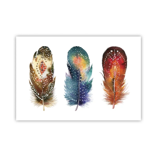 Affisch - Ritualer, seder, hemligheter - 91x61 cm