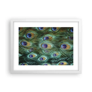 Affisch i vit ram - Påfågels blick - 40x30 cm