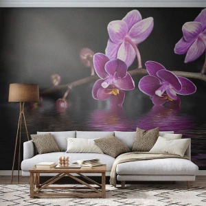 Fototapet Premium Canvas - Lila skönhet - Blommor, Orkide, Natur - 250x175 cm