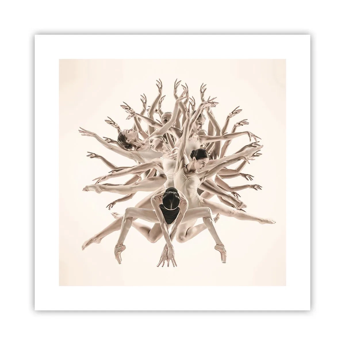 Affisch - Blommar i dansen - 40x40 cm