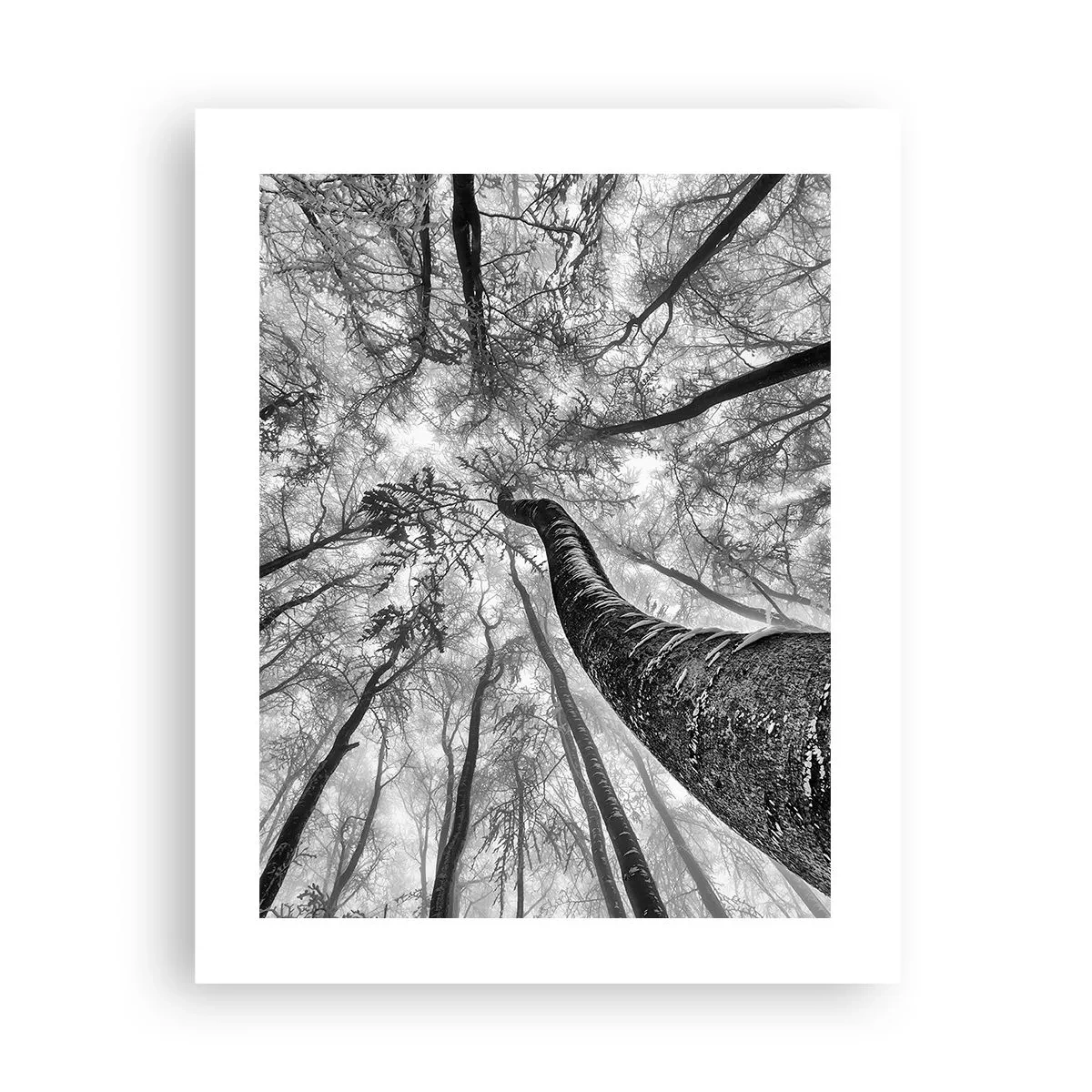 Affisch - Kapplöpning mot ljuset - 40x50 cm