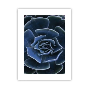 Affisch - Öknens blomma - 30x40 cm