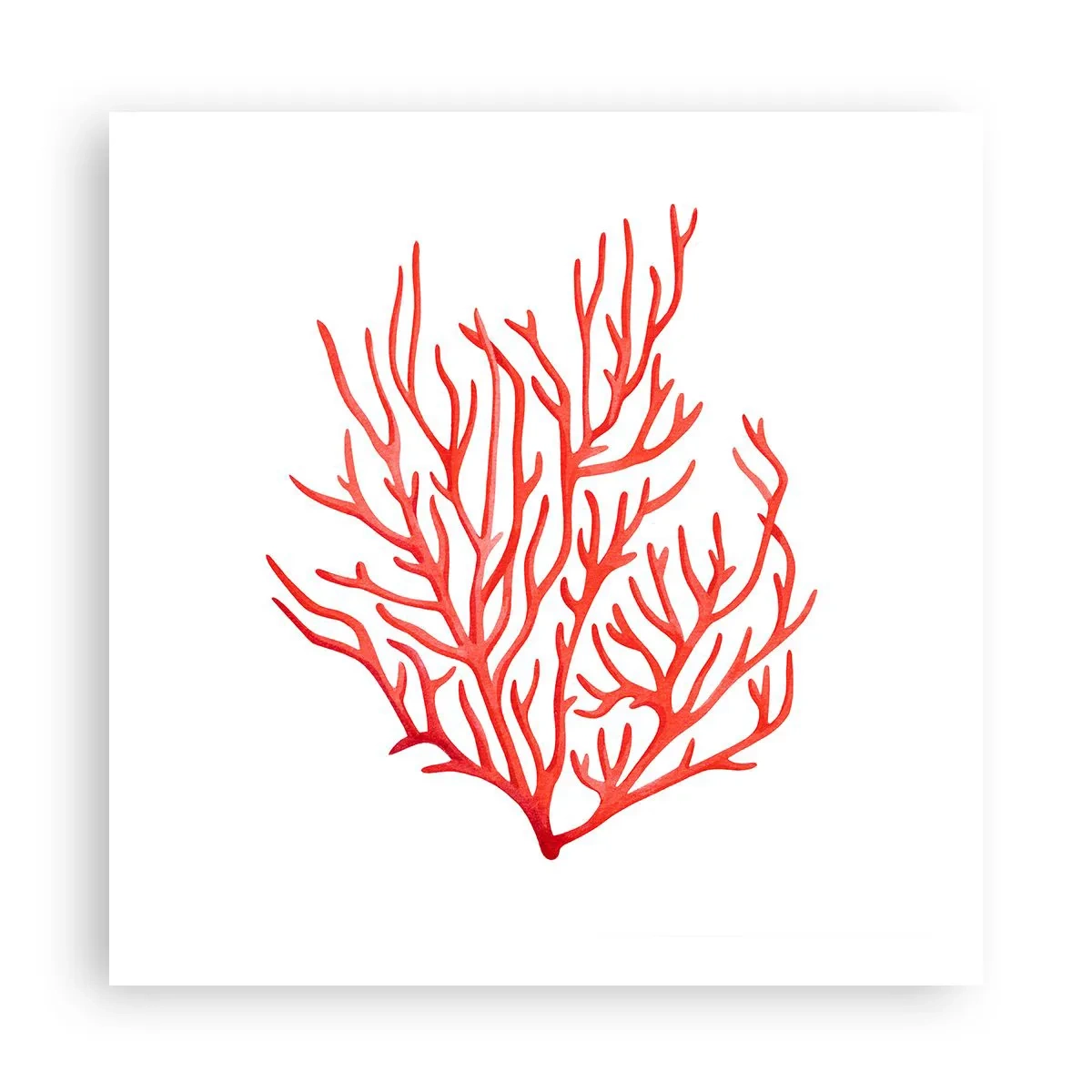 Affisch - Filigran av korall - 60x60 cm