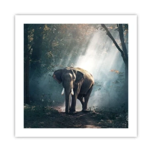 Affisch - Lugn promenad - 50x50 cm