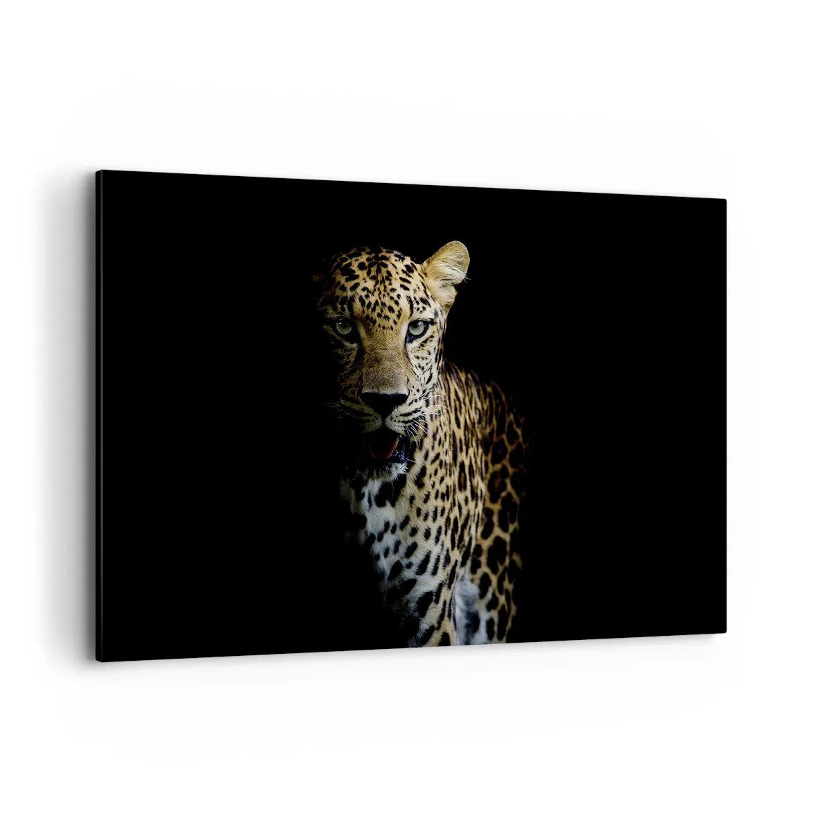 Canvastavla - Bild på duk - Mörk skönhet - 120x80 cm