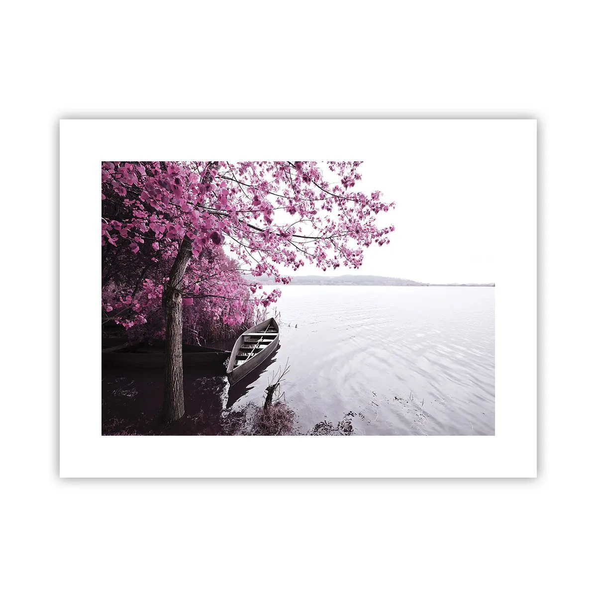 Affisch - I rosa tystnad - 40x30 cm