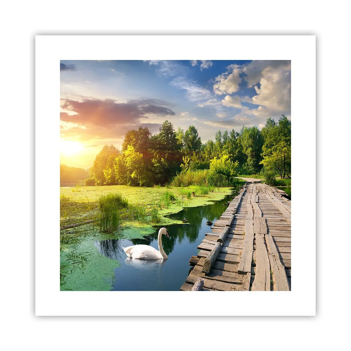 Affisch - Sommar, sommar överallt - 40x40 cm