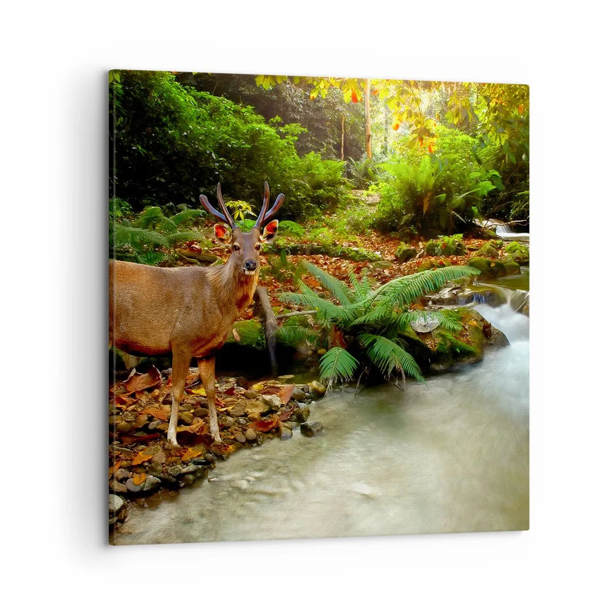 Canvastavla - Bild på duk - Välkommen till min värld - 50x50 cm