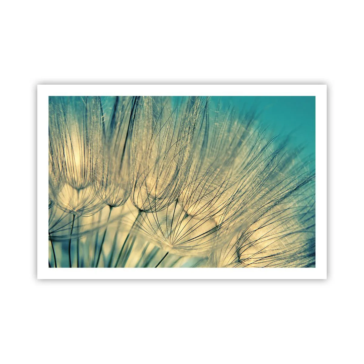 Affisch - I väntan på vinden - 91x61 cm