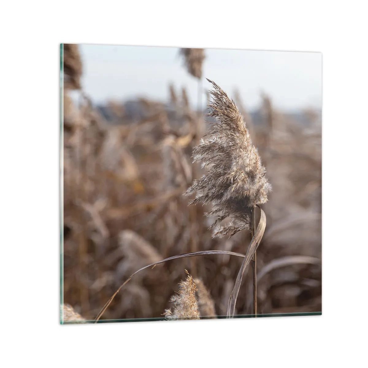 Glastavla - Bild på glas - Dags att flyga bort med vinden - 40x40 cm