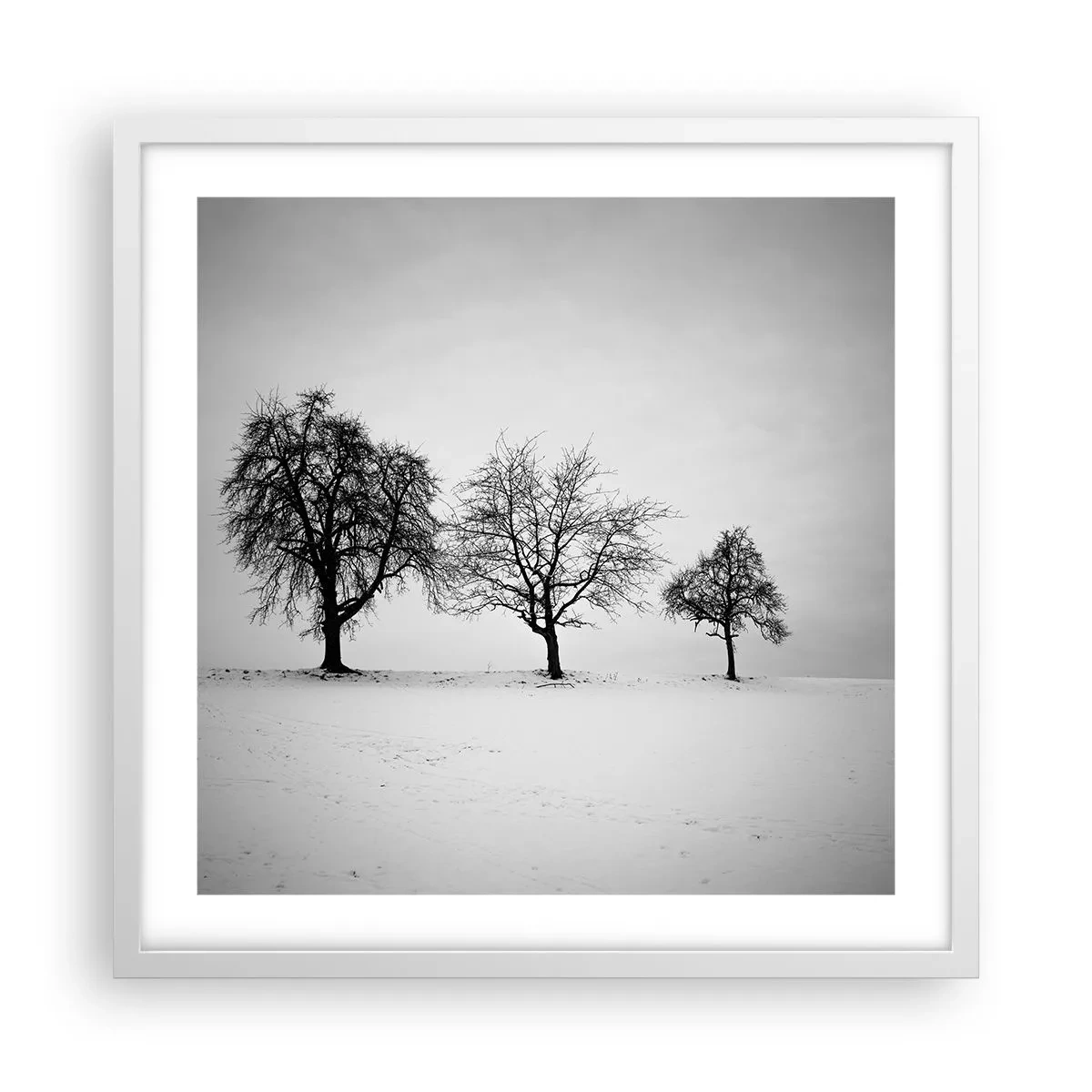 Affisch i vit ram - Vad drömmer de om? - 50x50 cm