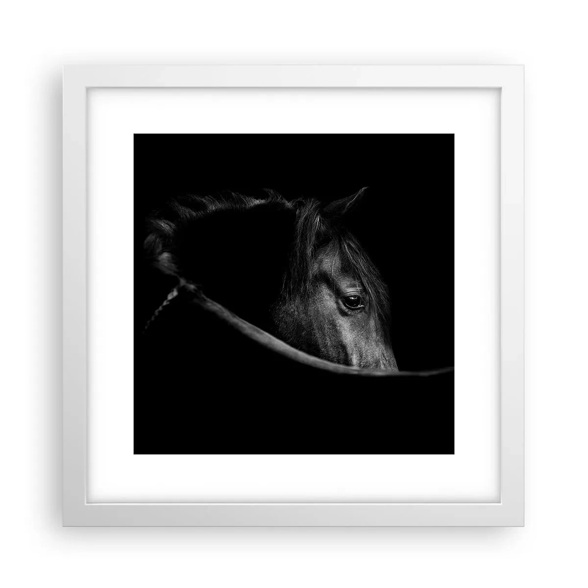 Affisch i vit ram - Svart prins - 30x30 cm