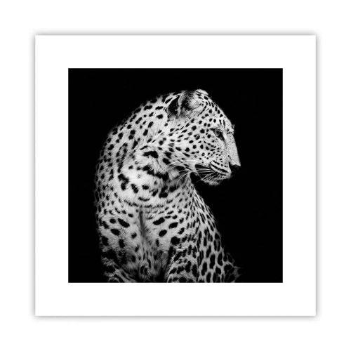 Affisch - Perfekt höger profil! - 30x30 cm