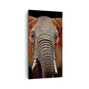 Canvastavla - Bild på duk - Jag är vild, och du? - 55x100 cm