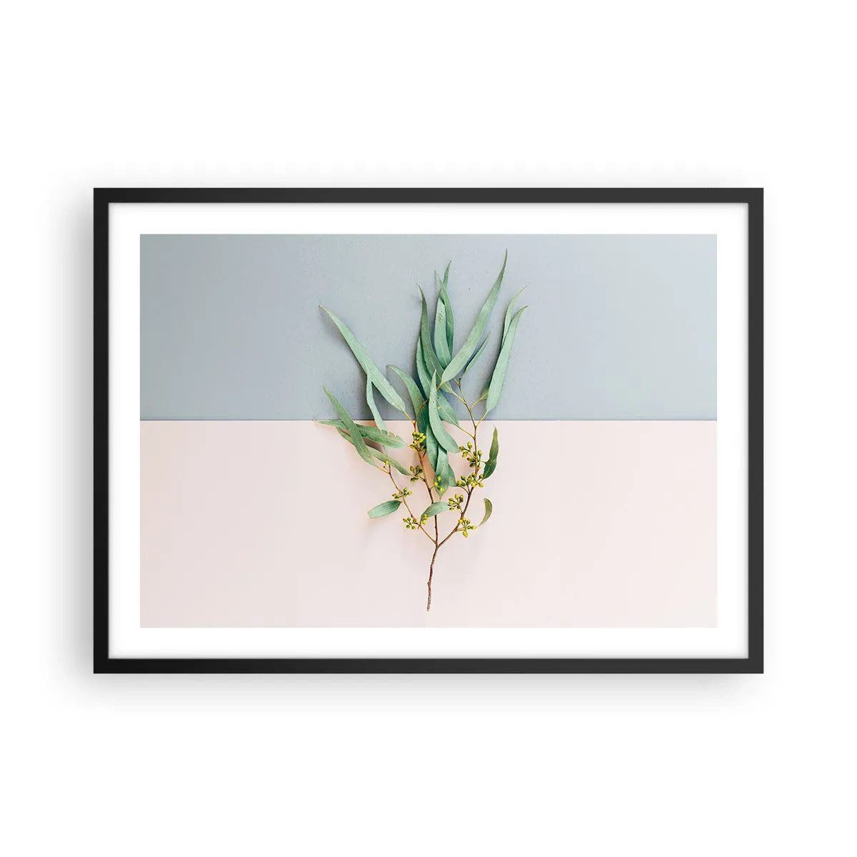 Affisch i svart ram - Pastellens subtilitet - 70x50 cm