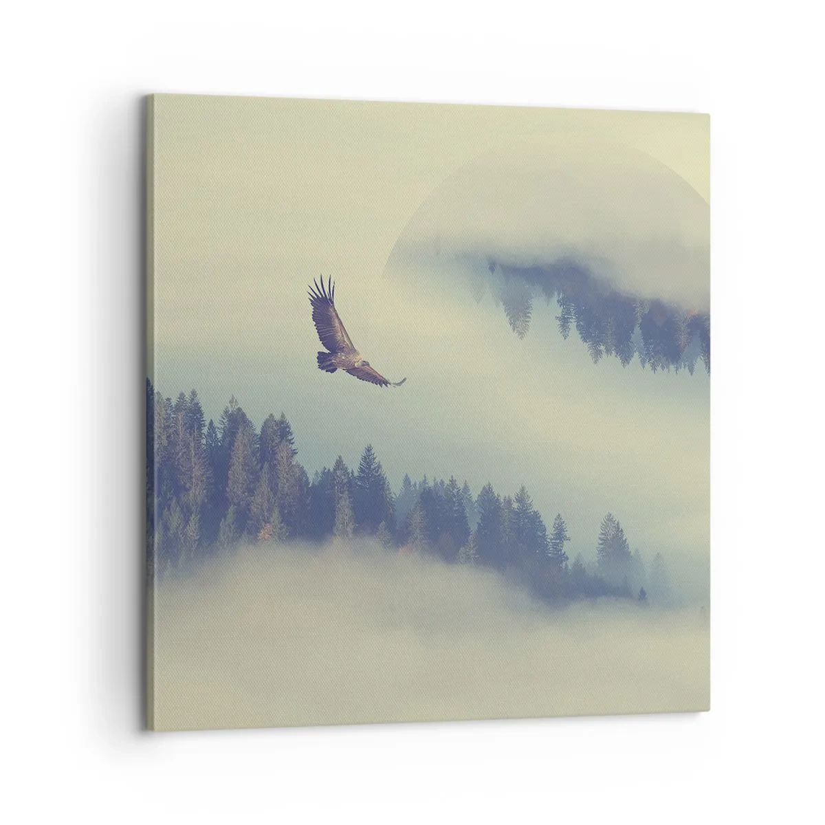 Canvastavla - Bild på duk - Örnens skugga - 60x60 cm