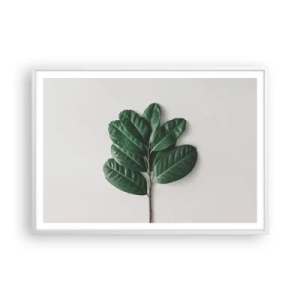 Affisch i vit ram - Själva naturens bild - 100x70 cm