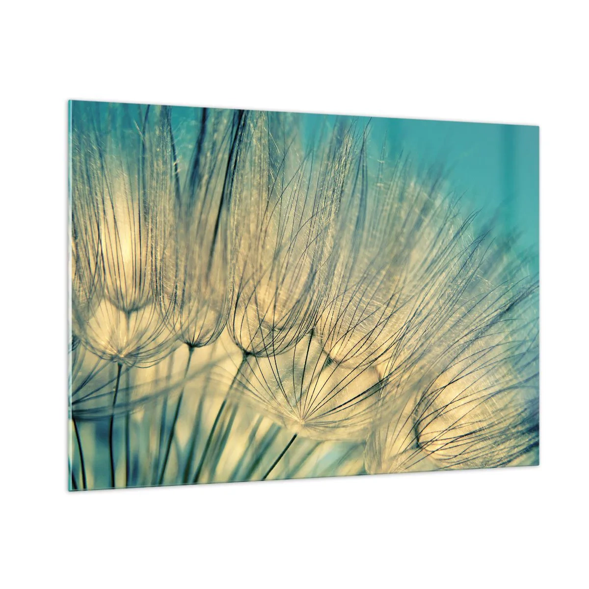 Glastavla - Bild på glas - I väntan på vinden - 100x70 cm