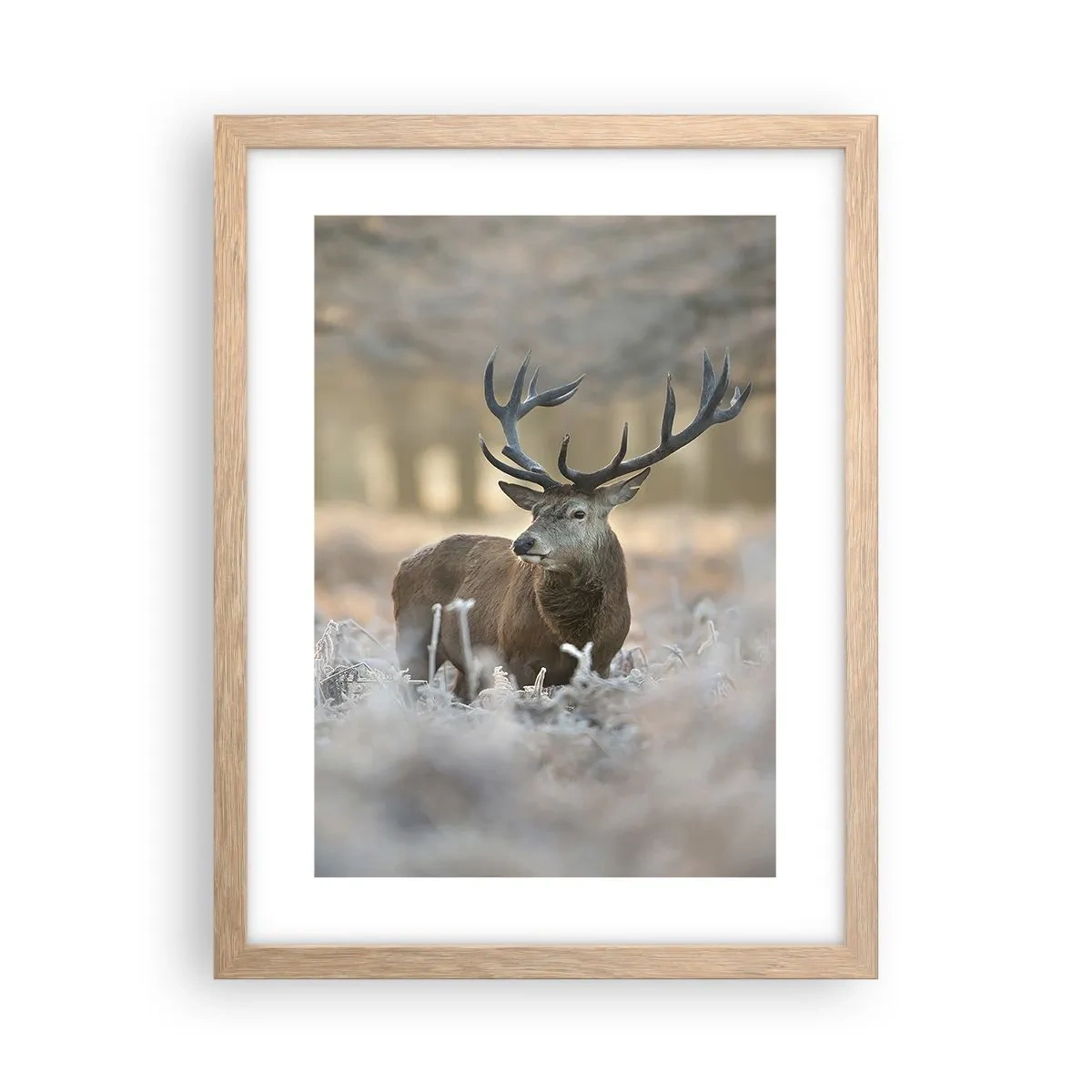 Affisch i ram av ljusek - Uppfriskande morgon - 30x40 cm