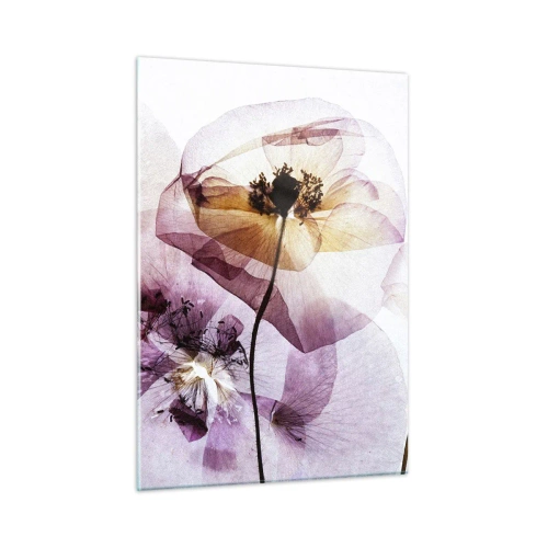 Glastavla - Bild på glas - Blommornas transparenta kroppar - 50x70 cm