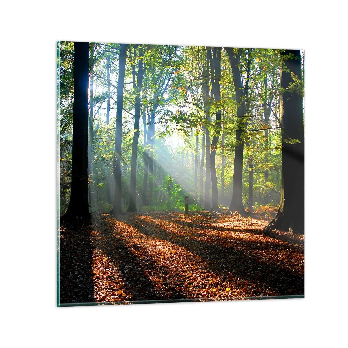 Glastavla - Bild på glas - Sken-och skuggspel - 40x40 cm