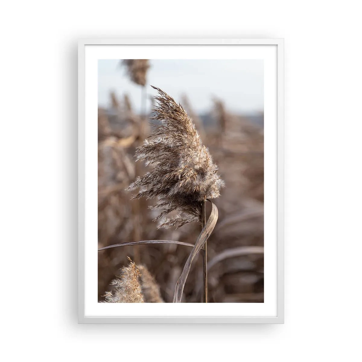 Affisch i vit ram - Dags att flyga bort med vinden - 50x70 cm