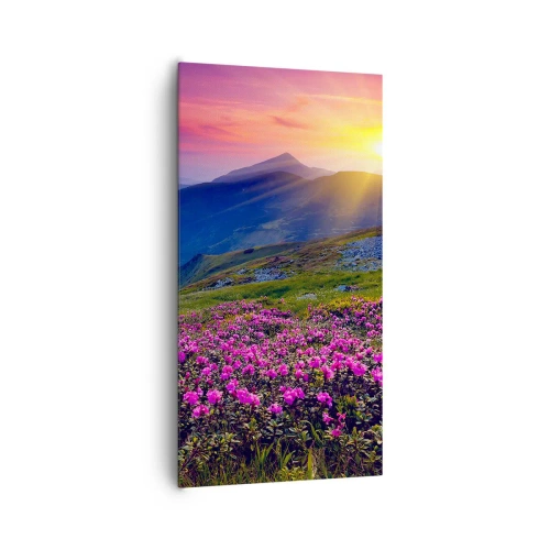 Canvastavla - Bild på duk - … Bergtallen doftar och örterna luktar runt omkring - 65x120 cm