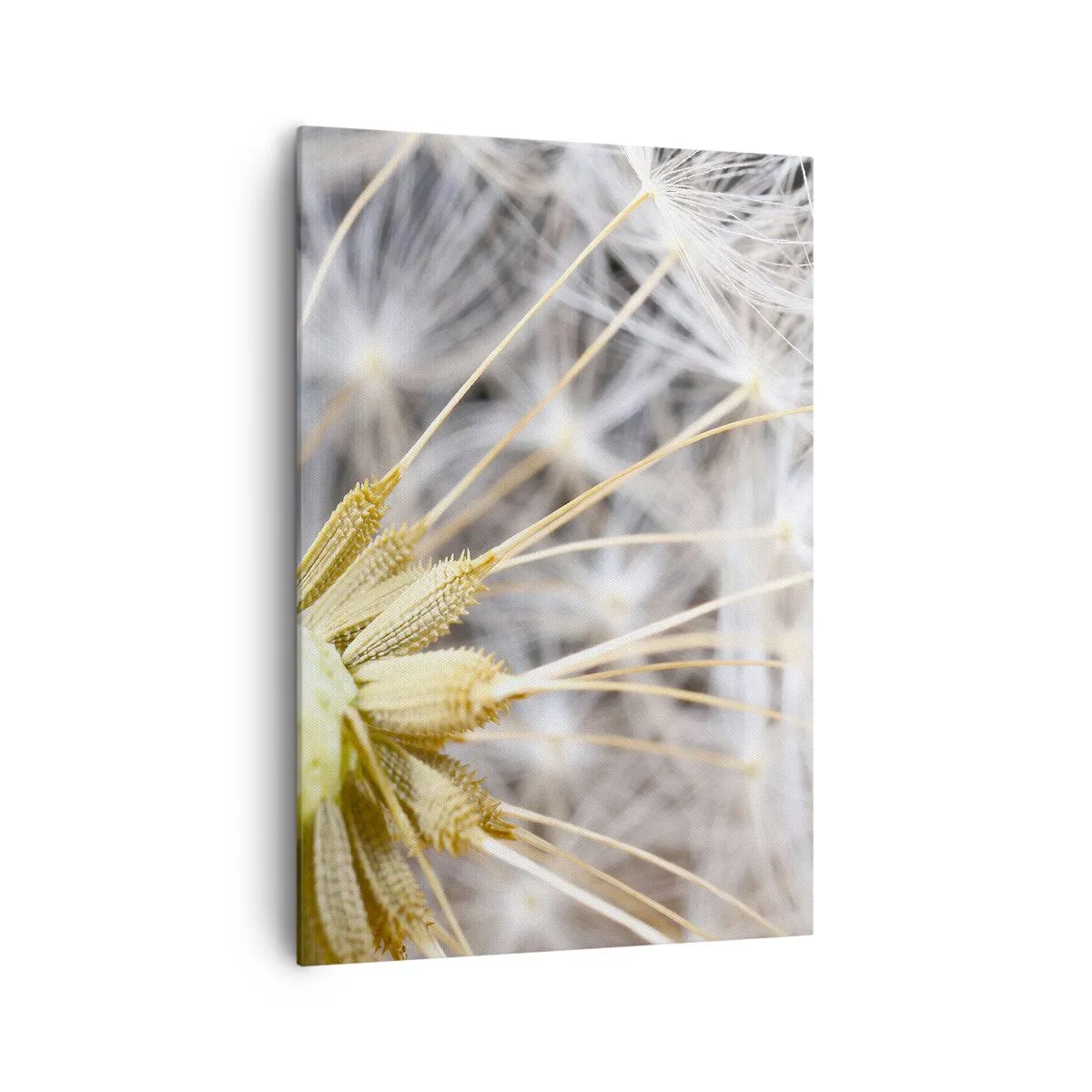 Canvastavla - Bild på duk - Klar att lyfta - 70x100 cm