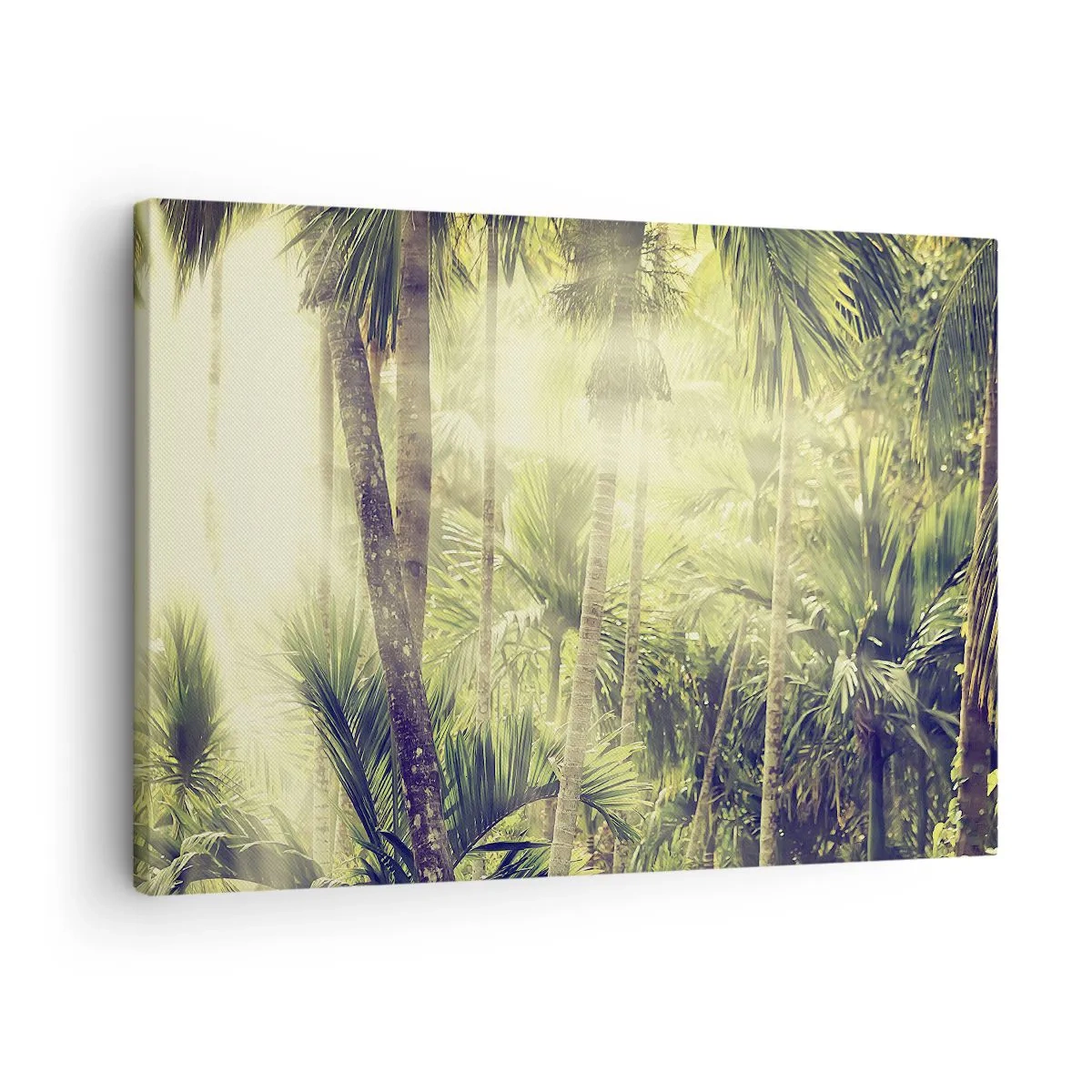 Canvastavla - Bild på duk - Solstrålar i en tropisk palmskog - 70x50cm - I gröna glöden - Modern väggdekoration för vardagsrum och sovrum ARTTOR